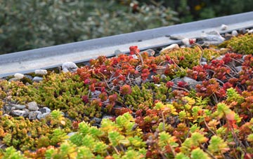 the cost of Old Goole green roof installation