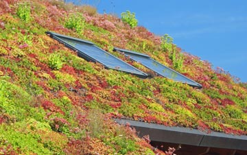 Old Goole living roof systems